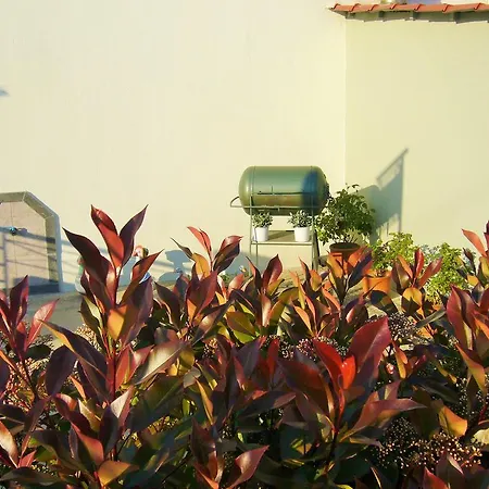 Vordos Apartment *